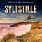 Syltstille Cover des Buches Syltstille