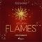 Go Up in Flames Cover des Buches Go Up in Flames (ISBN: 9788728306420)