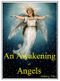 An Awakening of Angels Cover des Buches An Awakening of Angels (ISBN: B00GW9YT8W)