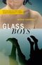 Glass Boys: A Novel Cover des Buches Glass Boys: A Novel (ISBN: B005FYF45W)