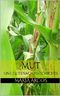 Mut Cover des Buches Mut (ISBN: B007LGBFQY)