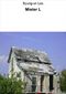Mister L Cover des Buches Mister L (ISBN: B00AMWFAVK)