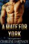 A Mate for York (The Program Book 1) Cover des Buches A Mate for York (The Program Book 1) (ISBN: B013VDLXY4)