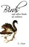 Birds and Other Kinds of Violence Cover des Buches Birds and Other Kinds of Violence (ISBN: B08B3WL255)