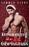 Dreaming of a hot Christmas: Eine heiße Weihnachtsgeschichte Cover des Buches Dreaming of a hot Christmas: Eine heiße Weihnachtsgeschichte (ISBN: B08L9M731W)