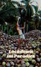 Lockdown im Paradies: Tagebuch eines digitalen Nomaden Cover des Buches Lockdown im Paradies: Tagebuch eines digitalen Nomaden (ISBN: B08Y6Z59R7)