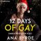 12 Days of Gay: #Love Wins, Book 5 Cover des Buches 12 Days of Gay: #Love Wins, Book 5 (ISBN: B09P1V2553)