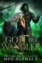 Gott der Wandler (WANDLER-KRIEG VAMPIR-ORDEN-REIHE 1) Cover des Buches Gott der Wandler (WANDLER-KRIEG VAMPIR-ORDEN-REIHE 1) (ISBN: B09RHN26CF)