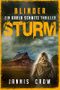 Blinder Sturm: Thriller Cover des Buches Blinder Sturm: Thriller (ISBN: B0CTGFL2RX)