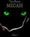 MICAH Cover des Buches MICAH