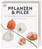 DK Bibliothek. Pflanzen & Pilze: Die große Bild-Enzyklopädie mit über 1000 Arten Cover des Buches DK Bibliothek. Pflanzen & Pilze: Die große Bild-Enzyklopädie mit über 1000 Arten (ISBN: 9783831050642)