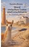 Mord zwischen Lama und Leuchtturm: Ein Ostfrieslandkrimi Cover des Buches Mord zwischen Lama und Leuchtturm: Ein Ostfrieslandkrimi (ISBN: 9783982816326)