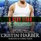 A Very Titan Christmas Cover des Buches A Very Titan Christmas (ISBN: B0FPMQPC95)