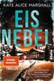 Eisnebel Cover des Buches Eisnebel (ISBN: 9783492065641)