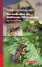 Taschenlexikon der Wildbienen Mitteleuropas Cover des Buches Taschenlexikon der Wildbienen Mitteleuropas (ISBN: 9783494016535)