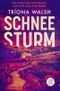Schneesturm Cover des Buches Schneesturm (ISBN: 9783596709007)