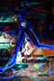 Schattensprung Cover des Buches Schattensprung (ISBN: 9783690645317)