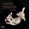 Unter Hunden Cover des Buches Unter Hunden (ISBN: 9783742300720)