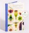 Samen Cover des Buches Samen (ISBN: 9783791376066)