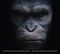 Planet der Affen: Von Prevolution zu Evolution Cover des Buches Planet der Affen: Von Prevolution zu Evolution (ISBN: 9783864255618)