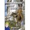 Forsthaus Wolkenstein - Cover des Buches Forsthaus Wolkenstein - (ISBN: 9783892878575)