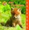 Am Fuchsbau Cover des Buches Am Fuchsbau (ISBN: 9783930038572)