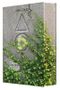 AGE OF IVY Cover des Buches AGE OF IVY (ISBN: 9783968570273)