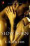 Slow Burn (Contemporary) (The Fitzgerald Family Book 1) Cover des Buches Slow Burn (Contemporary) (The Fitzgerald Family Book 1) (ISBN: 9780983429708)