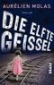Die elfte Geißel Cover des Buches Die elfte Geißel (ISBN: 9783492264532)