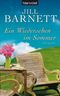 Ein Wiedersehen im Sommer Cover des Buches Ein Wiedersehen im Sommer (ISBN: 9783442367092)