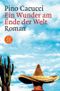 Ein Wunder am Ende der Welt Cover des Buches Ein Wunder am Ende der Welt (ISBN: 9783596158164)