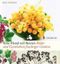 Eine Hand voll Beeren Cover des Buches Eine Hand voll Beeren (ISBN: 9783799535199)