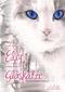 Elly und die Glaskatze Cover des Buches Elly und die Glaskatze (ISBN: 9783941757158)