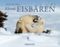 Kleine Eisbären Cover des Buches Kleine Eisbären (ISBN: 9783765815768)