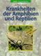 Krankheiten der Reptilien und Amphibien Cover des Buches Krankheiten der Reptilien und Amphibien (ISBN: 9783800173402)