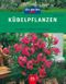 Kübelpflanzen Cover des Buches Kübelpflanzen (ISBN: 9783405157555)