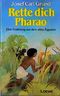 Rette dich Pharao Cover des Buches Rette dich Pharao (ISBN: 9783785520345)