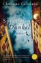 Sprung ins Dunkel Cover des Buches Sprung ins Dunkel (ISBN: 9783596170685)
