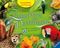 Zauberklang des Dschungels Cover des Buches Zauberklang des Dschungels (ISBN: 9783473552627)
