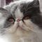 Liz847 Liz847s avatar