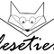 Lesetier Lesetiers avatar