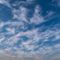 Zirruswolke Zirruswolkes avatar