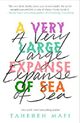 A Very Large Expanse of Sea (English Edition) Cover des Buches A Very Large Expanse of Sea (English Edition) (ISBN: 9781405292603)