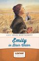 Emily in Blair Water Cover des Buches Emily in Blair Water (ISBN: 9783732009060)