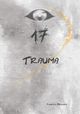 17 Cover des Buches 17