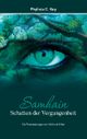 Samhain - Schatten der Vergangenheit Cover des Buches Samhain - Schatten der Vergangenheit