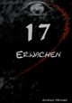 17 Cover des Buches 17