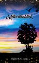 Meteoritenblick Cover des Buches Meteoritenblick
