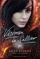 Visionen in Silber Cover des Buches Visionen in Silber (ISBN: 9783959916134)