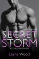 Secret Storm (Gay Romance) Cover des Buches Secret Storm (Gay Romance) (ISBN: 9798372409453)